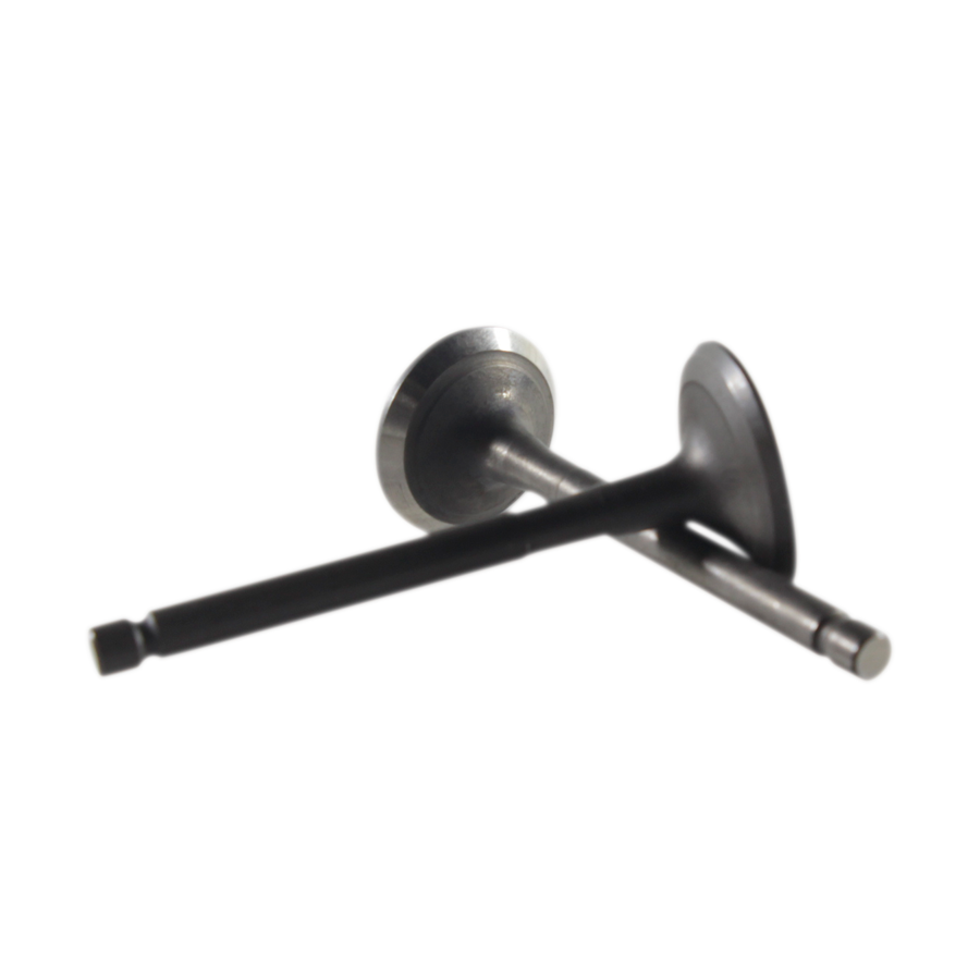Engine, Valve Kit (IN & EX) (STX-125)