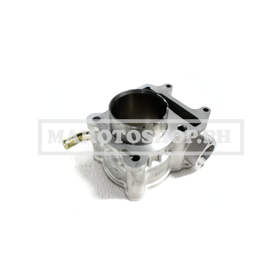 CYLINDER BLOCK (CRUISYM 150i)