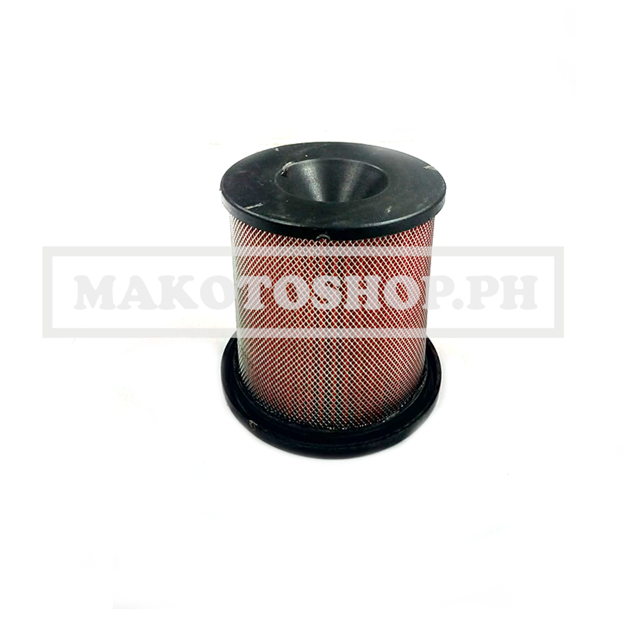 ELEMENT, AIR CLEANER (RFS 150i)