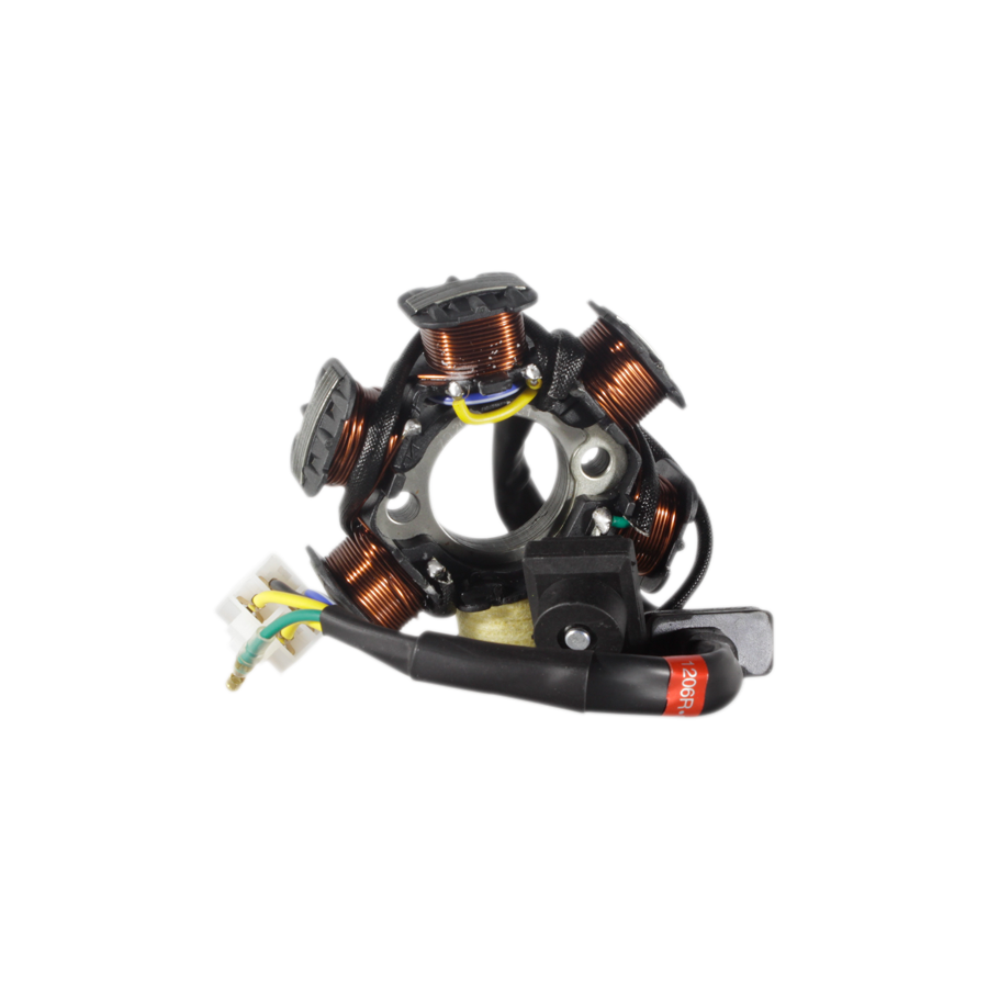 STATOR ASSY (RAPIDO 110)