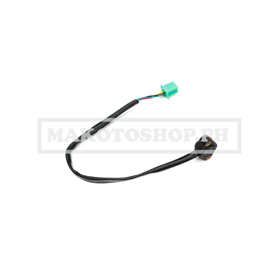 CABLE ASSY, SPEEDOMETER(JOYEVO) (JOYR200E)